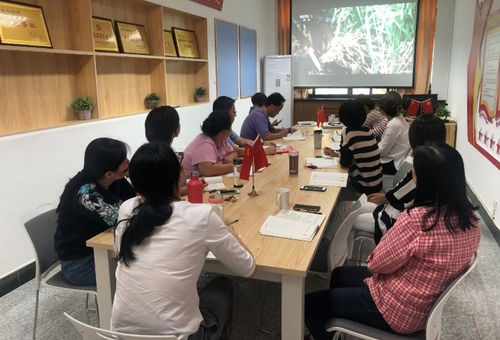 信息技術(shù)咨詢服務(wù)助力黨建學(xué)習(xí)——圖書(shū)館信息技術(shù)部黨支部慶祝新中國(guó)成立70周年主題黨日活動(dòng)紀(jì)實(shí)